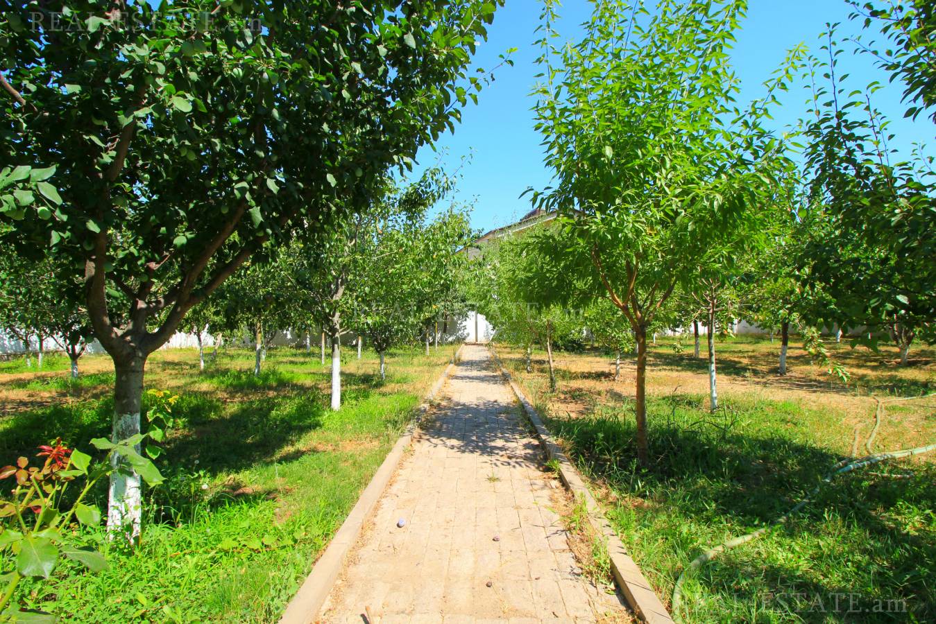 House for sale خیابان زاراف آقبیور, آوان ایروان, 82032