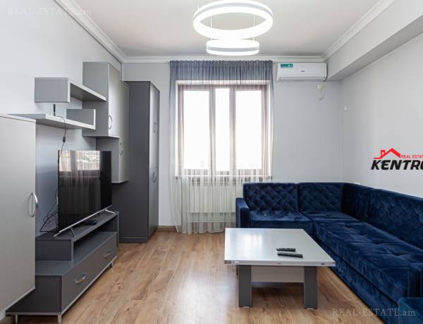 4-senyakanoc-bnakaran-vardzakalutyun-Yerevan-Center