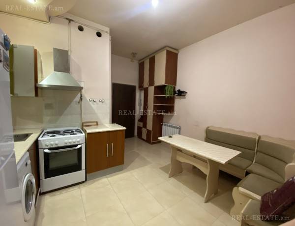 2-senyakanoc-bnakaran-vardzakalutyun-Yerevan-Center