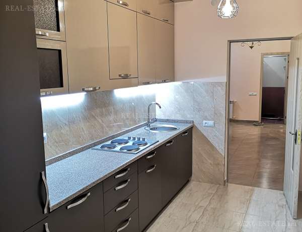 3-senyakanoc-bnakaran-vardzakalutyun-Yerevan-Arabkir