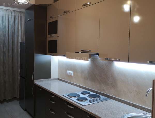 3-senyakanoc-bnakaran-vardzakalutyun-Yerevan-Arabkir