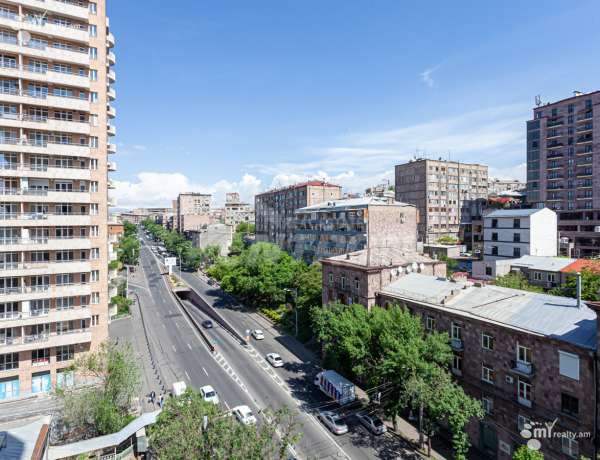 3-senyakanoc-bnakaran-vardzakalutyun-Yerevan-Arabkir