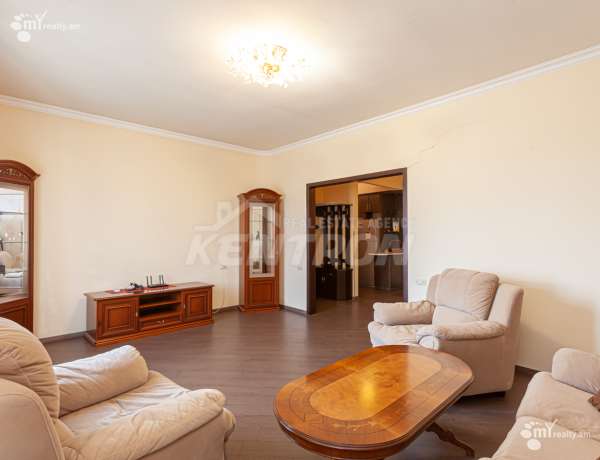 3-senyakanoc-bnakaran-vardzakalutyun-Yerevan-Center