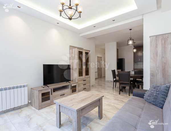 3-senyakanoc-bnakaran-vardzakalutyun-Yerevan-Arabkir