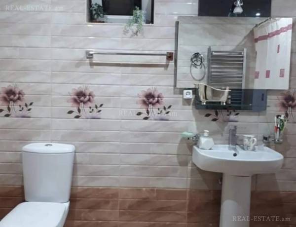 4-senyakanoc-bnakaran-vardzakalutyun-Yerevan-Center