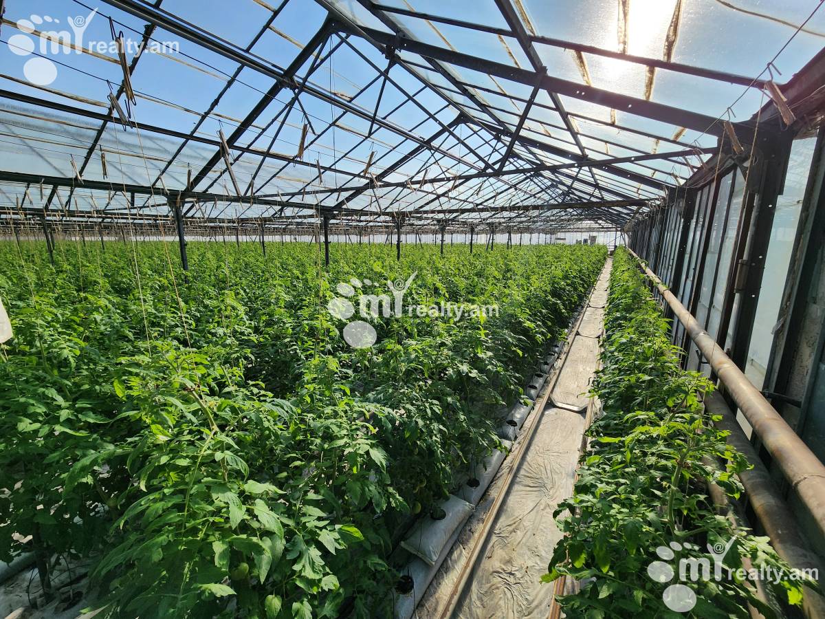 Land for sale Aramus, Aramus Kotayk, 158581