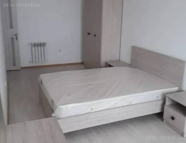2-senyakanoc-bnakaran-vardzakalutyun-Yerevan-Davtashen