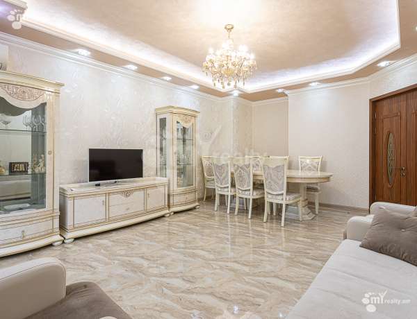 3-senyakanoc-bnakaran-vardzakalutyun-Yerevan-Center