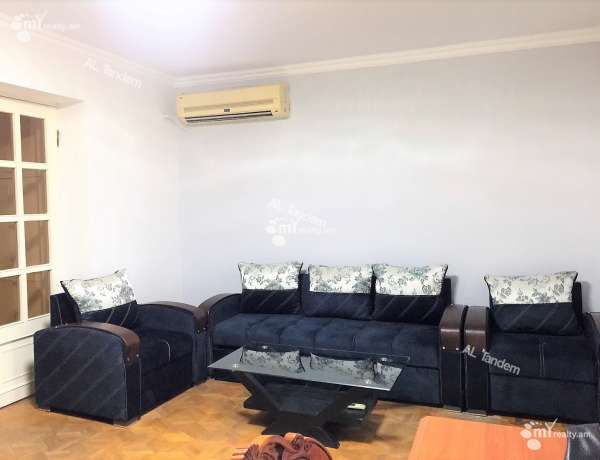 3-senyakanoc-bnakaran-vardzakalutyun-Yerevan-Arabkir
