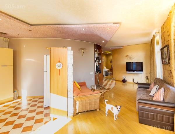 3-senyakanoc-bnakaran-vardzakalutyun-Yerevan-Center