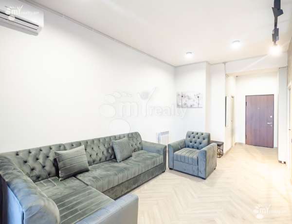 2-senyakanoc-bnakaran-vardzakalutyun-Yerevan-Davtashen