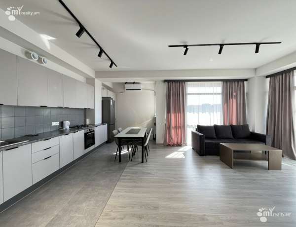 3-senyakanoc-bnakaran-vardzakalutyun-Yerevan-Davtashen