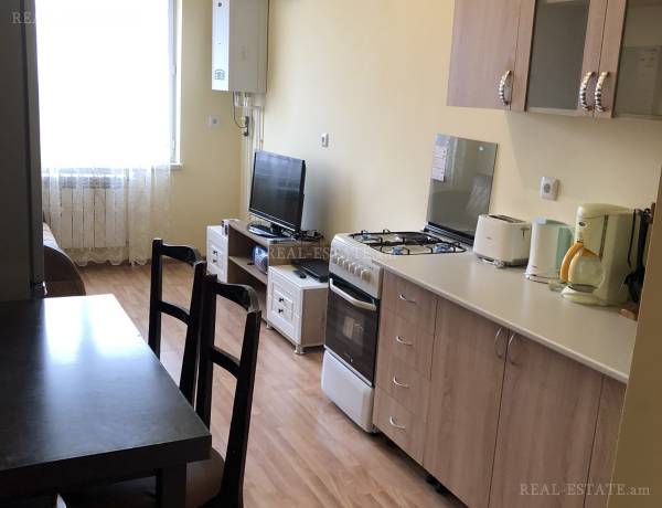2-senyakanoc-bnakaran-vardzakalutyun-Yerevan-Erebuni