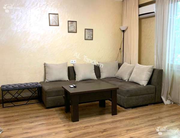 2-senyakanoc-bnakaran-vardzakalutyun-Yerevan-Center