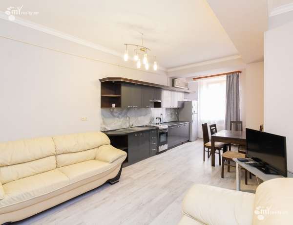 3-senyakanoc-bnakaran-vardzakalutyun-Yerevan-Center