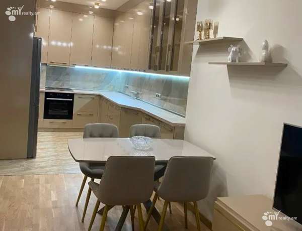 2-senyakanoc-bnakaran-vardzakalutyun-Yerevan-Arabkir