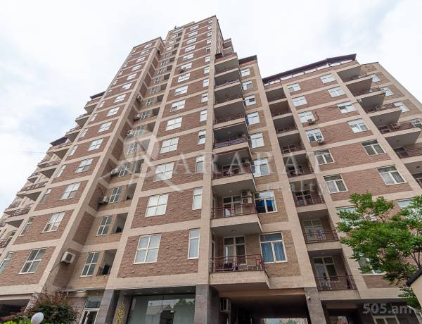 3-senyakanoc-bnakaran-vardzakalutyun-Yerevan-Center