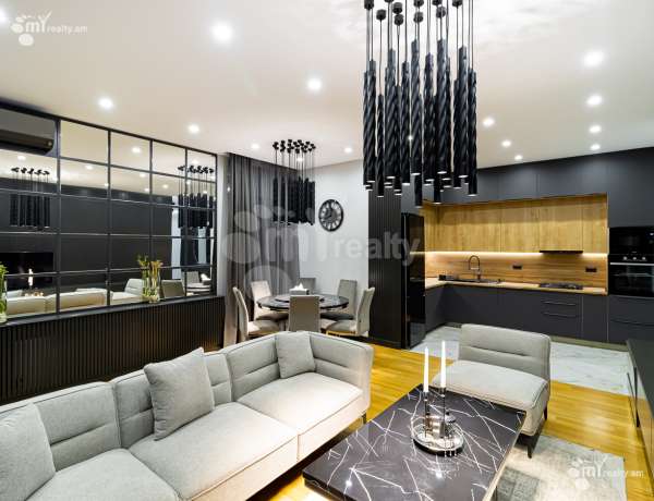 3-senyakanoc-bnakaran-vardzakalutyun-Yerevan-Arabkir