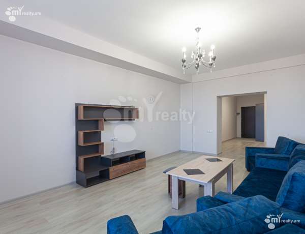 3-senyakanoc-bnakaran-vardzakalutyun-Yerevan-Arabkir