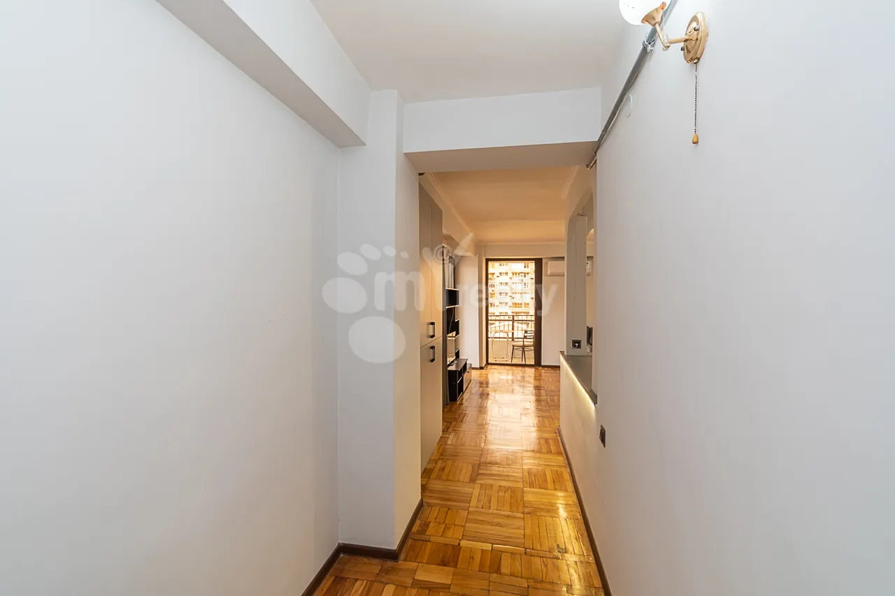 2 bedroom apartment for rent خیابان پوشکین, مرکز شهر ایروان, 160138