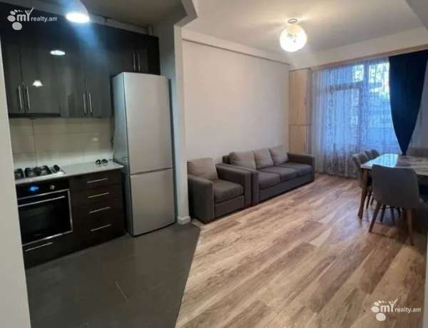3-senyakanoc-bnakaran-vardzakalutyun-Yerevan-Arabkir