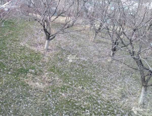 hoxataracq/Dzoraghbyur/Dzoraghbyur/Kotayk