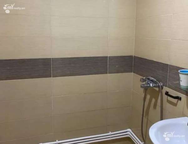 2-senyakanoc-bnakaran-vardzakalutyun-Yerevan-Center
