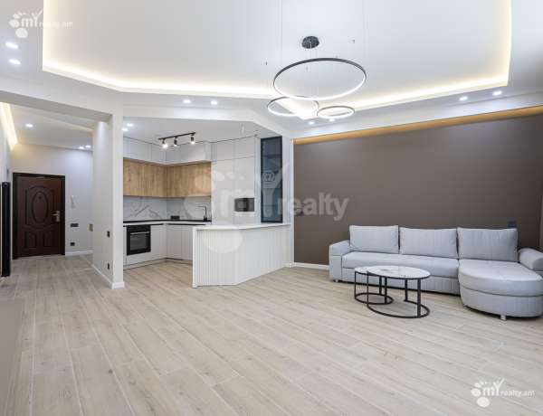 2-senyakanoc-bnakaran-vardzakalutyun-Yerevan-Ajapnyak