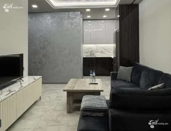 2-senyakanoc-bnakaran-vardzakalutyun-Yerevan-Center