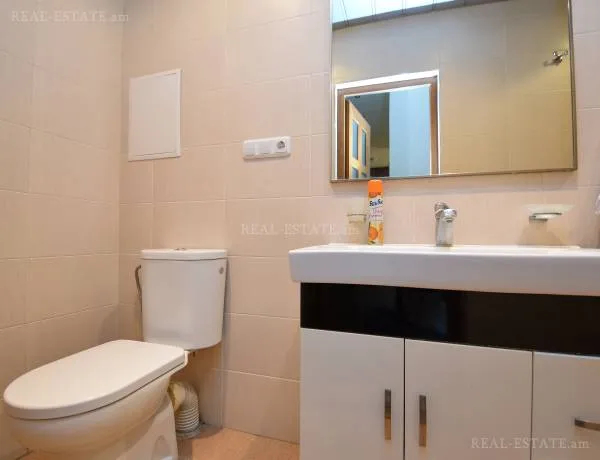 2 bedroom apartment for rent Spendiaryan St, Center Yerevan, 160954