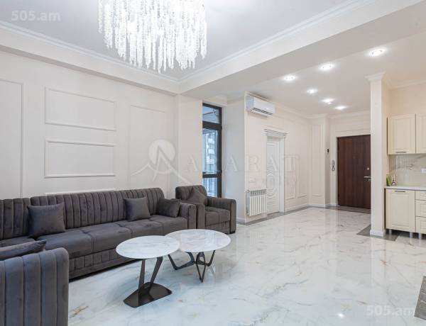 2-senyakanoc-bnakaran-vardzakalutyun-Yerevan-Center