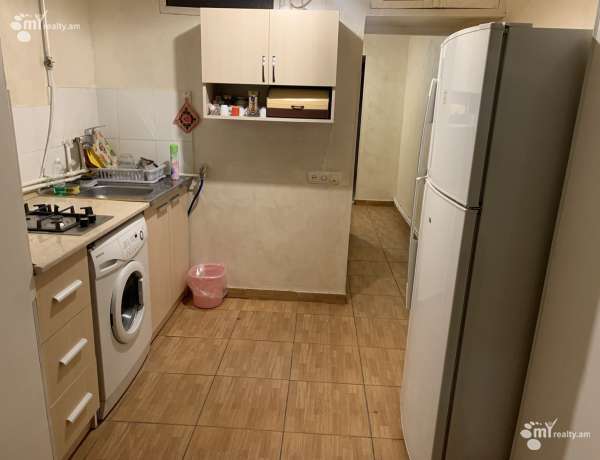 2-senyakanoc-bnakaran-vardzakalutyun-Yerevan-Achapnyak