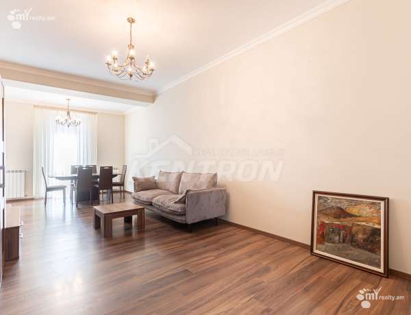 3-senyakanoc-bnakaran-vardzakalutyun-Yerevan-Center