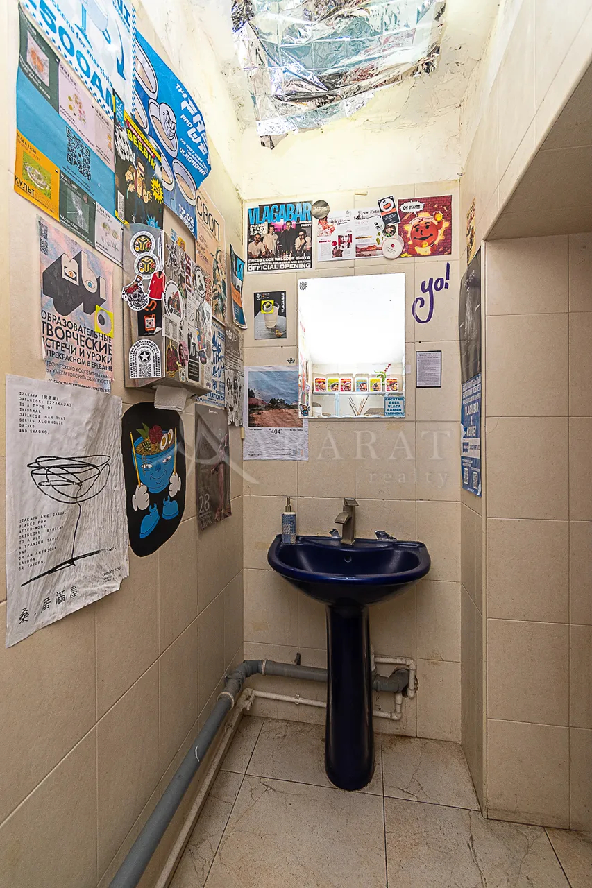 Commercial for rent خیابان پوشکین, مرکز شهر ایروان, 159364