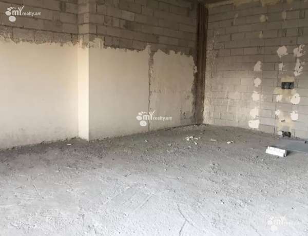 3-senyakanoc-bnakaran-vacharq-Yerevan-Center
