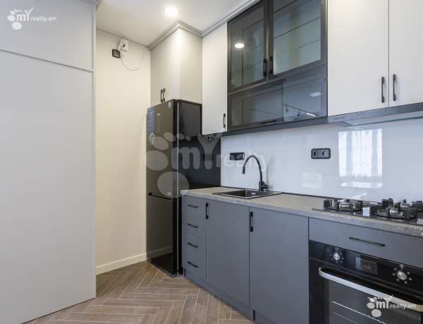 2-senyakanoc-bnakaran-vardzakalutyun-Yerevan-Center