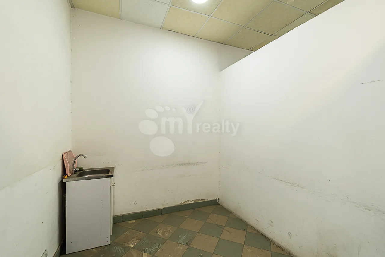 Commercial property for sale M.Khorenatsi St, Center Yerevan, 160418