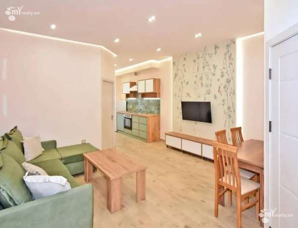 2-senyakanoc-bnakaran-vardzakalutyun-Yerevan-Arabkir