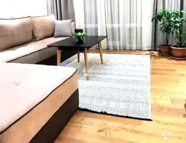 4-senyakanoc-bnakaran-vacharq-Yerevan-Center