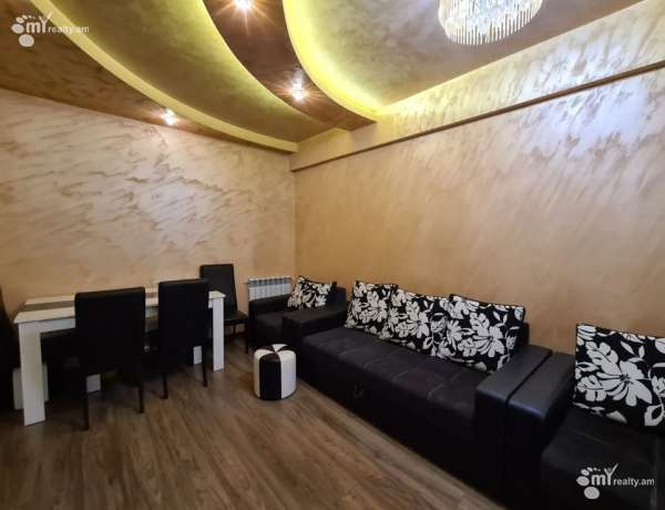 2-senyakanoc-bnakaran-vardzakalutyun-Yerevan-Center