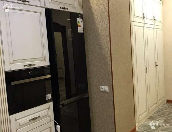 2-senyakanoc-bnakaran-vardzakalutyun-Yerevan-Center