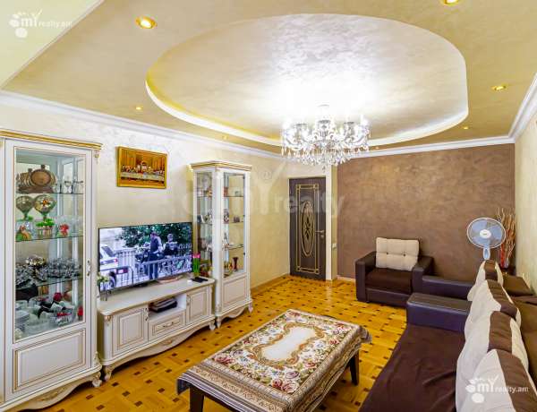 3-senyakanoc-bnakaran-vardzakalutyun-Yerevan-Arabkir