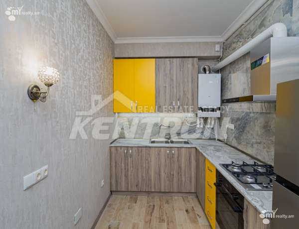 3-senyakanoc-bnakaran-vardzakalutyun-Yerevan-Center