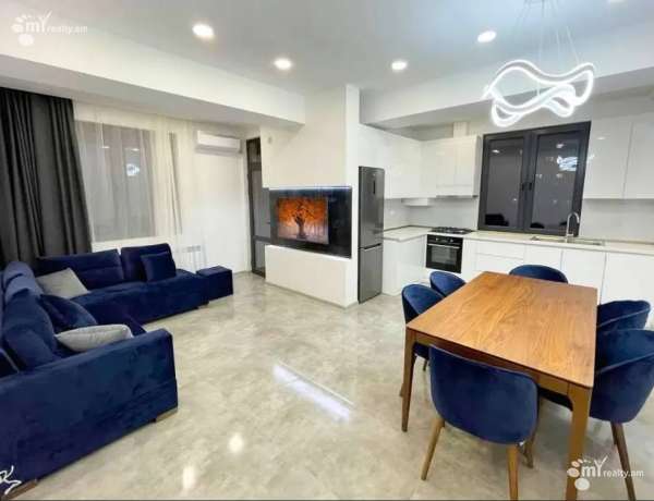 3-senyakanoc-bnakaran-vardzakalutyun-Yerevan-Arabkir