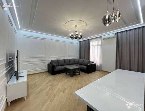 3-senyakanoc-bnakaran-vardzakalutyun-Yerevan-Arabkir