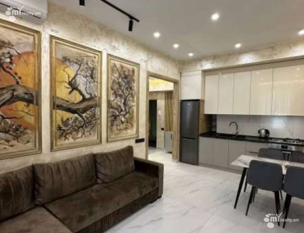 2-senyakanoc-bnakaran-vardzakalutyun-Yerevan-Center