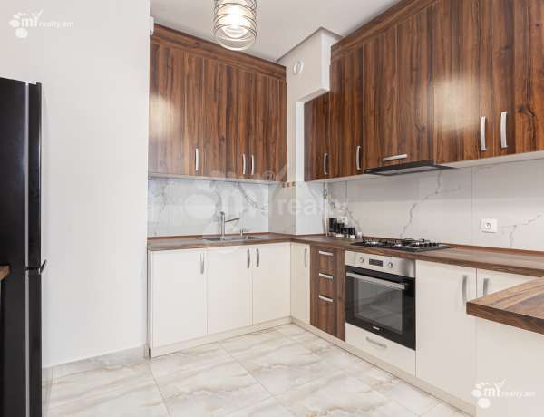 3-senyakanoc-bnakaran-vardzakalutyun-Yerevan-Arabkir