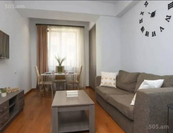 2-senyakanoc-bnakaran-vardzakalutyun-Yerevan-Center