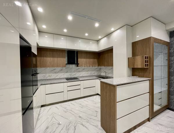 3-senyakanoc-bnakaran-vardzakalutyun-Yerevan-Center