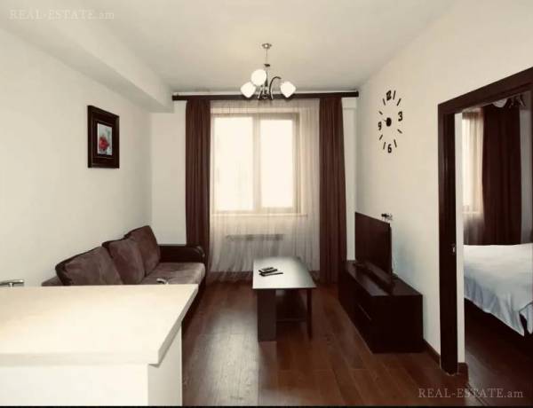 2-senyakanoc-bnakaran-vardzakalutyun-Yerevan-Center